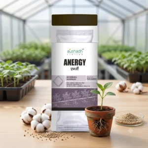 ANERGY