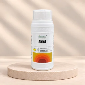 ANNA